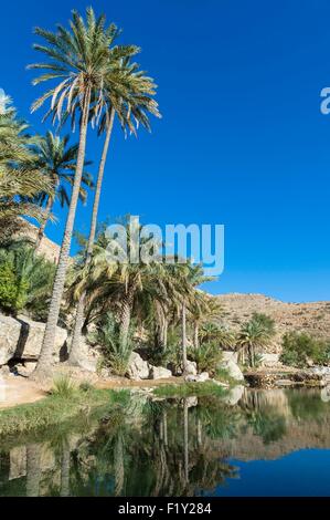 Sultanat von Oman, Gouvernorate Ash Sharqiyah, Wadi Bani Khalid Stockfoto