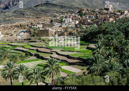 Oman, Bilad Sayt, Dorf und Terrassen Stockfoto