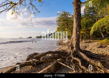 Costa Rica Puntarenas Provinz, Dominical, Strand entlang der Küste Stockfoto