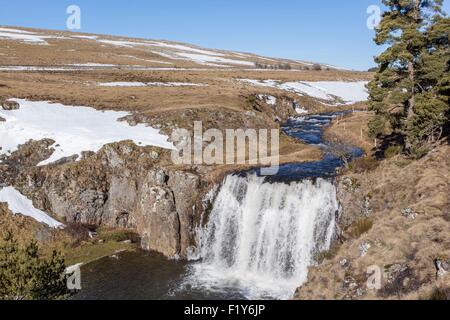 Frankreich, Cantal, Wasserfall des Veyrines in der Nähe von Allanche, Cezallier, Parc Naturel regional des Vulkane d ' Auvergne (regionaler Naturpark der Vulkane der Auvergne) Stockfoto