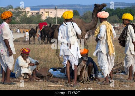 Indien, Rajasthan Zustand, Pushkar, Pushkar Viehmarkt Stockfoto