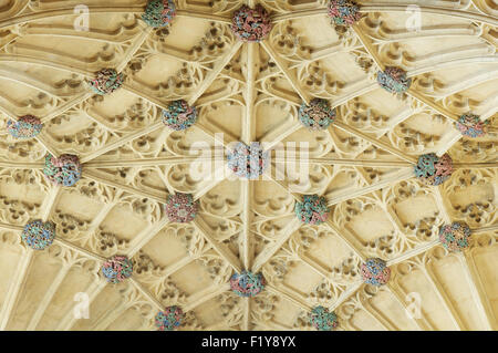 Ein Detail der bunten Bosse der reich verzierte gotische Ventilator gewölbte Decke über der Orgelempore, Sherborne Abbey, Dorset, England, Vereinigtes Königreich. Stockfoto