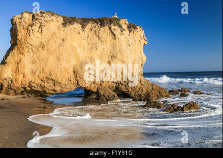 Vogel auf Felsformation El Matador State Beach in Süd-Kalifornien Stockfoto