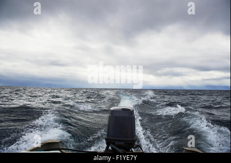 Kanada, Motorboot, Nunavut, Nordpolarmeer Stockfoto