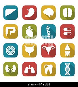 Vektor-Runde Symbole der menschlichen Innenorgane flaches design Stock Vektor