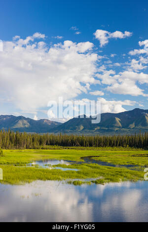 Teich, Scenic, Yukon, Kanada, Kluane Lake Stockfoto