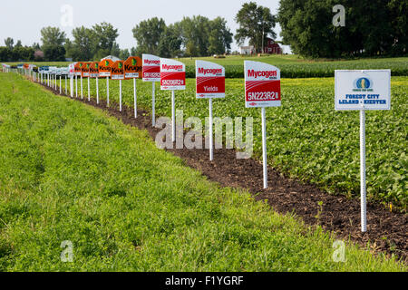 Forest City, Iowa - Zeichen markieren verschiedene Ernte Sorten in einem Soja-Feld, einschließlich gentechnisch veränderte Nutzpflanzen. Stockfoto