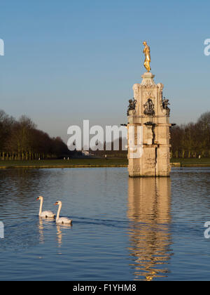 Schwan, Arethusa, Diana-Brunnen, Teich, Bushey park Stockfoto