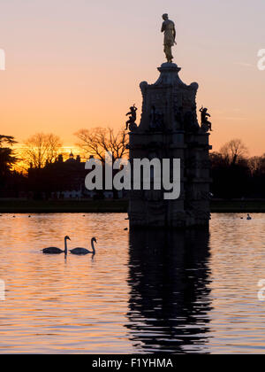 Schwan, Arethusa, Diana-Brunnen, Teich, Bushey park Stockfoto