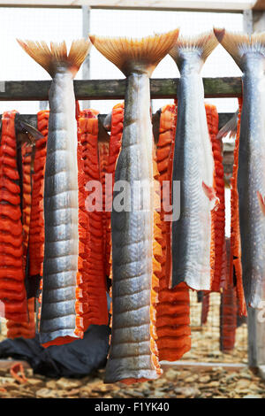 Filet, Nunavut, Kanada, roh, Saibling Stockfoto