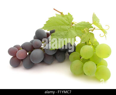 Trauben Pflanze wie Wein aus grünen und roten Trauben zu machen Stockfoto