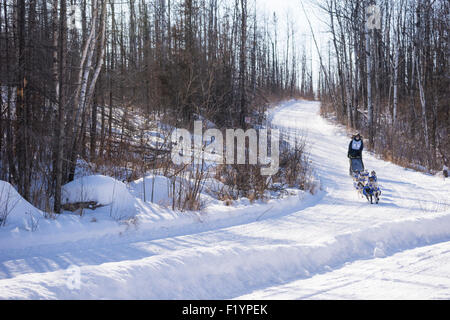 Erwachsene männliche Musher leitet ein Team von husky Hunde auf der jährlichen Wolf Track Classic Sled Dog Race Bewerb, Ely, MN, USA Stockfoto