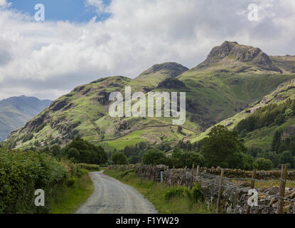 Langdale Pikes aus einem Feldweg Stockfoto