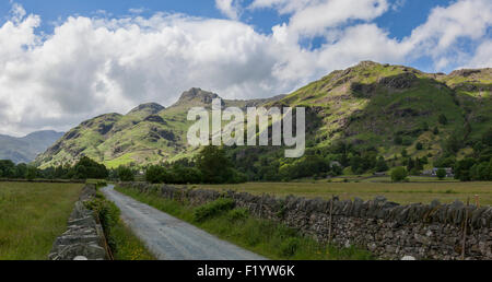 Panorama von Langdale Pikes aus einem Feldweg Stockfoto