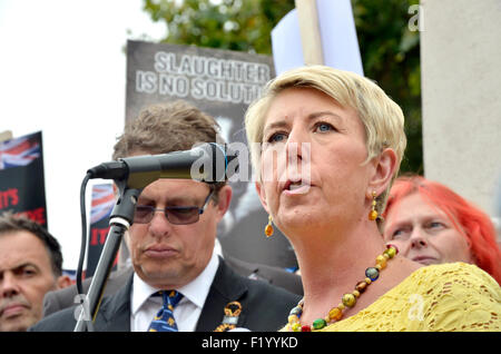 Angela C Smith MP (Arbeit, Penistone und Stocksbridge) anlässlich der Protest gegen die Versagen Badger Cull Politik, London Stockfoto