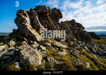 Ein Felsvorsprung Quarzit auf der Stiperstones, Shropshire Hügel, Shropshire, England. Stockfoto