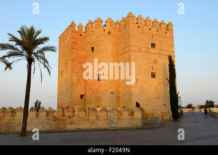 Licht des frühen Morgens auf Calahorra Turm am südlichen Ende der Römerbrücke in Córdoba, Andalusien, Spanien Stockfoto