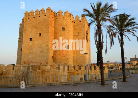 Licht des frühen Morgens auf Calahorra Turm am südlichen Ende der Römerbrücke in Córdoba, Andalusien, Spanien Stockfoto