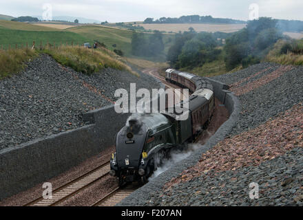 Borthwick Bank, Schottland. 9. September 2015. Der Union of South Africa-Dampfzug macht seinen Weg Borthwick Bank, wie es der Königin auf der neuen Bahnlinie Grenzen trägt. Queen Elizabeth II wird heute der am längsten regierende Monarch und offiziell eröffnet wird die Linie. Bildnachweis: Andrew O'Brien/Alamy Live-Nachrichten Stockfoto