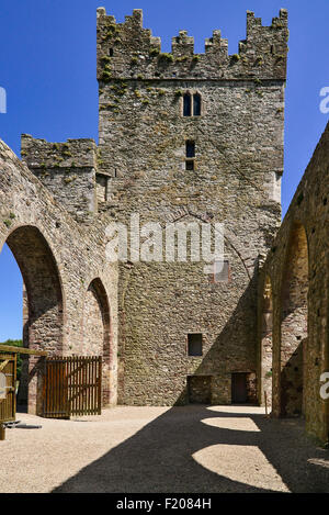 Irland, County Wexford, Tintern Abbey, 13. Jahrhundert Zisterzienser-Abtei. Stockfoto