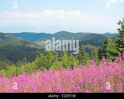 Landschaft in der Slowakei Stockfoto