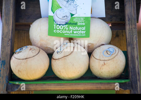 Besondere natürliche Trinken 100% natürliche Kokos Wasser auf Anzeige an Poole Thai Festival, Poole, Dorset, Großbritannien im September Stockfoto