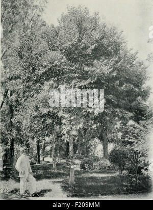 El Jardín Botánico de Buenos Aires Stockfoto