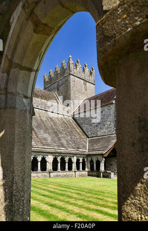 Irland, County Tipperary, Holycross Abbey, Blick durch einen Bogen des Kreuzgangs. Stockfoto