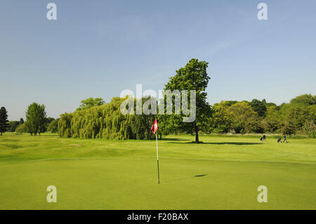 Sport, Freizeit, Golf, Blick auf das 14. Grün und Flagge auf J H Taylor Kurs Royal Mid Surrey Golf Club Richmond Surrey England. Stockfoto