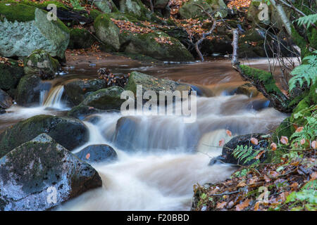 Burbage Bach fließt durch Padley Schlucht im Herbst Stockfoto