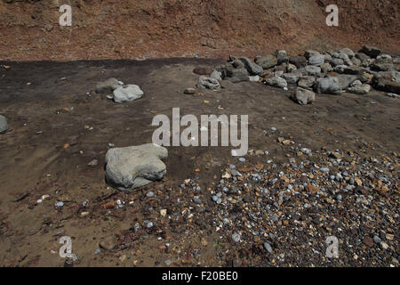 Fossile Iguanodon Dinosaurier Fuß Abgüsse Stockfoto