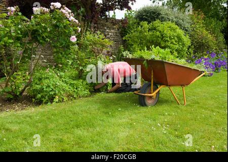 Gärtner im Garten arbeiten Stockfoto