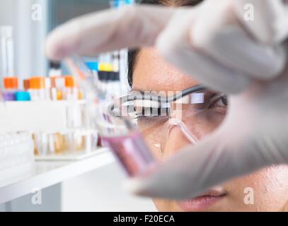 Nahaufnahme der Wissenschaftlerin Erprobung medizinischer Wirkstoff Ampulle im Labor Stockfoto