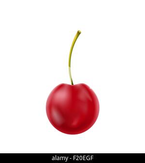 Einzigen realistischen Cherry, Isolated on White Background Stock Vektor