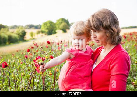 Mitte Erwachsene Mutter und Kleinkind Tochter Blick auf rote Blumen in der Blumenwiese Stockfoto