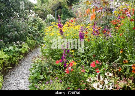 Poppy Bauerngarten auf Roseland Halbinsel in Cornwall Stockfoto