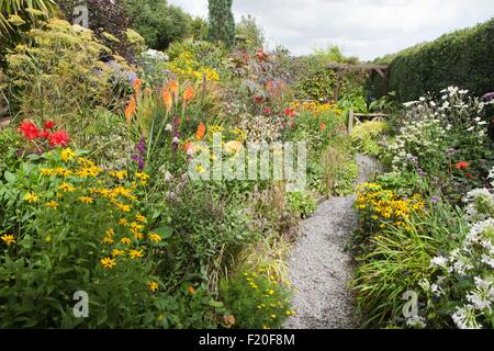 Poppy Bauerngarten auf Roseland Halbinsel in Cornwall Stockfoto