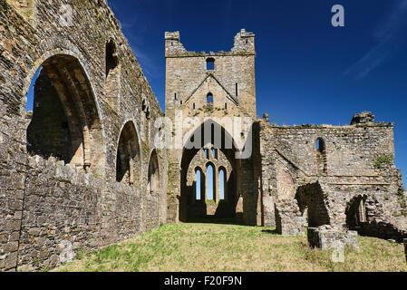 County Wexford, Irland Dunbrody Abbey, zisterziensische Abtei aus dem 12. Jahrhundert. Stockfoto