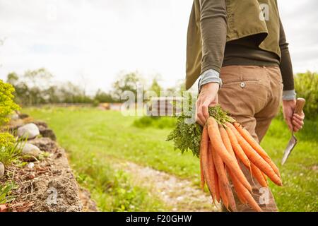 Reife Frau im Freien, Gartenarbeit, mit Kelle und Haufen von Karotten, Rückansicht, Mittelteil Stockfoto