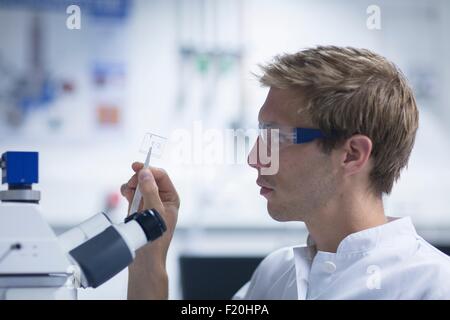 Männliche Wissenschaftler Blick auf Objektträger im Labor Stockfoto