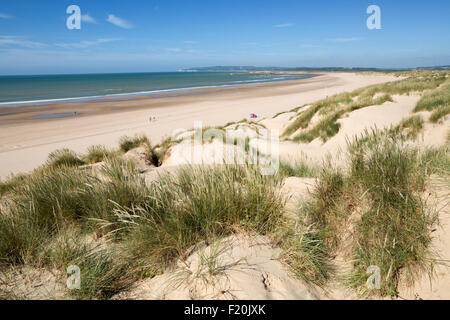 Dünen und Strand, Camber Sands, Wölbung, in der Nähe von Roggen, East Sussex, England, Vereinigtes Königreich, Europa Stockfoto