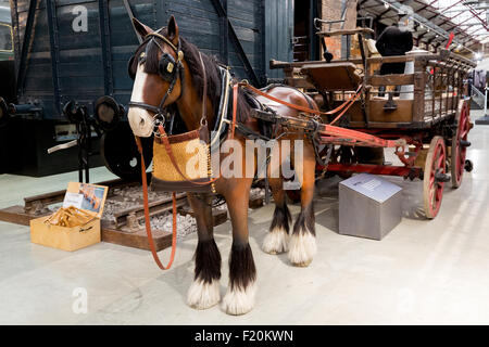 Museum der Great Western Railway Works .Güterwagen. Swindon England. Stockfoto