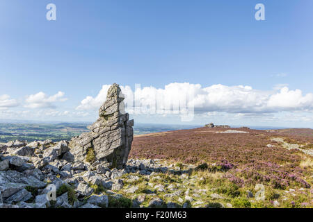 Stiperstones National Nature Reserve, Shropshire, England, UK Stockfoto