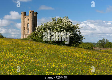 Broadway Tower mitten im Frühling blühenden Weißdorn Büsche und Ranunkeln, Broadway Cotswolds, Worcestershire, England, Vereinigtes Königreich, Europa Stockfoto