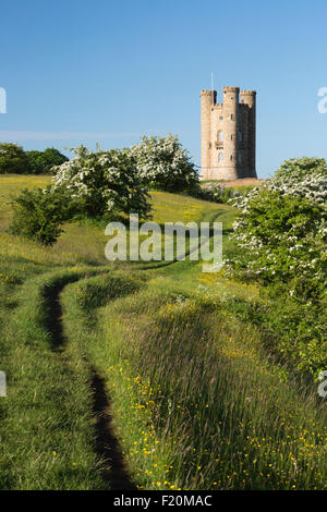 Broadway Tower inmitten blühender Weißdorn Federbuchsen und Butterblumen, Broadway, Cotswolds, Worcestershire, England, UK Stockfoto