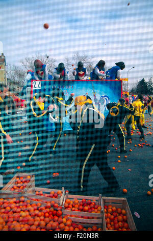 Italien, Piemont, Ivrea, Karneval von Ivrea, die Schlacht der Orangen. Stockfoto