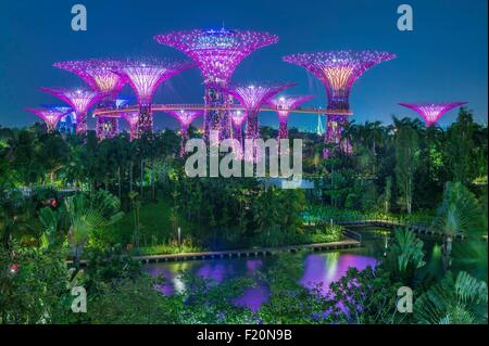 Singapur, Marina Bay, Garten an der Bucht, Botanischer Garten, Supertree Grove Stockfoto