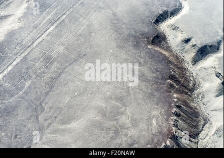 Peru, Region Ica, Nazca-Wüste, die Nazca-Linien (5.-7. Jh.), als Weltkulturerbe von der UNESCO gelistet, die Geoglyphen sind große Zahlen auf der Erde, oft stilisierte Tiere, Kolibri (50 m lang), Luftbild Stockfoto