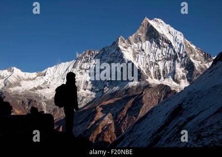 Nepal, Gandaki, Annapurna Region, Silhouette der Wanderer vor dem Heiligen Machapuchare Berg angesehen vom Annapurna Base Camp Stockfoto