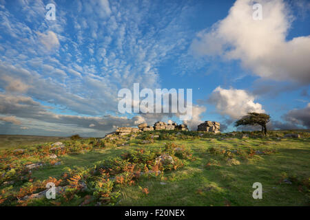 Combestone Tor im Dartmoor National Park, Devon, UK Stockfoto